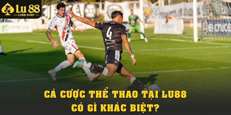 Cá cược thể thao tại Lu88 có gì khác biệt?