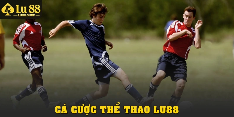 Cá Cược Thể Thao Tại Lu88: Đầy Đủ Bộ Môn Hot, Kèo Dễ Bắt